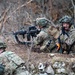 173rd Airborne Brigade conducts live-fire and tactical movement training in Slovenia