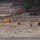 173rd Airborne Brigade conducts live-fire and tactical movement training in Slovenia