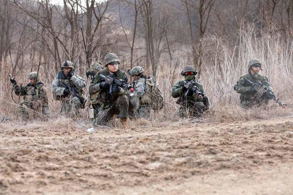 Combined Air Assault Supporting Exercise Warrior Shield