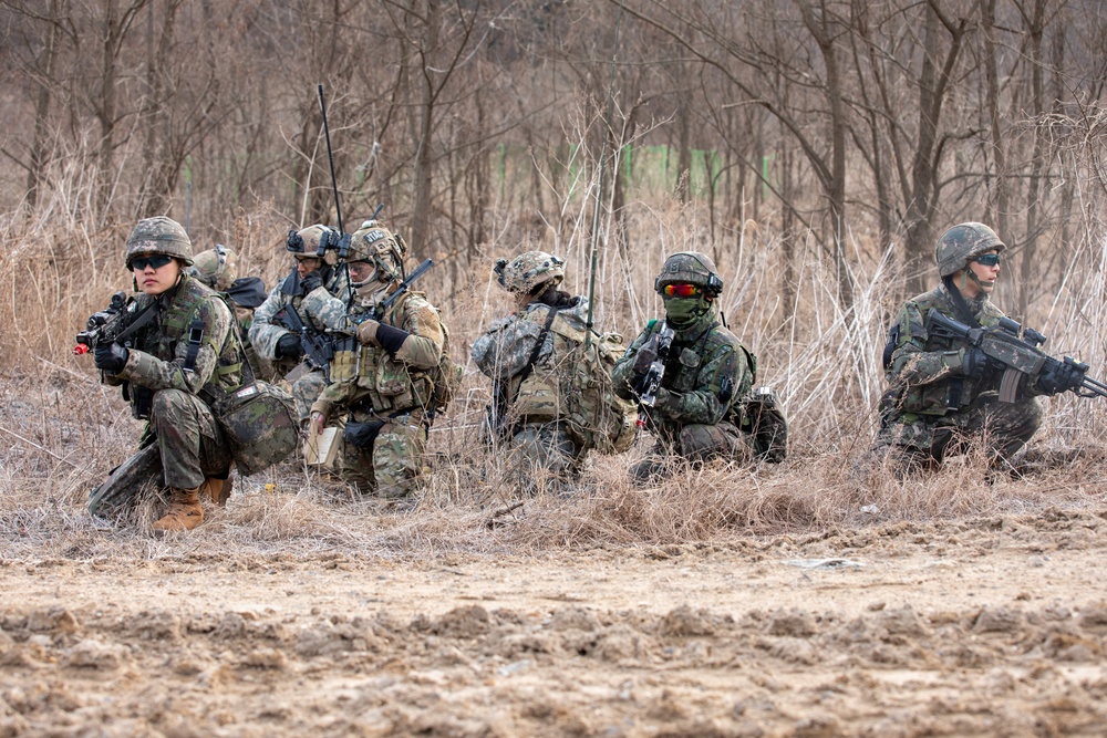 Combined Air Assault Supporting Exercise Warrior Shield