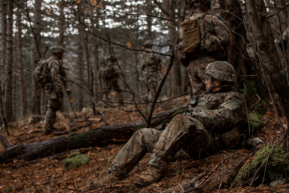 173rd Airborne Brigade conducts blank-fire and tactical training in Slovenia