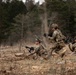 173rd Airborne Brigade conducts blank-fire and tactical training in Slovenia