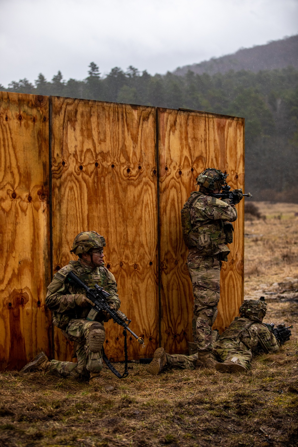173rd Airborne Brigade conducts blank-fire and tactical training in Slovenia