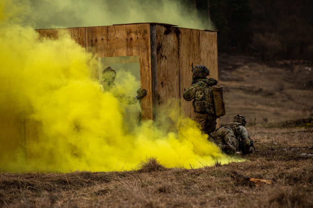 173rd Airborne Brigade conducts blank-fire and tactical training in Slovenia