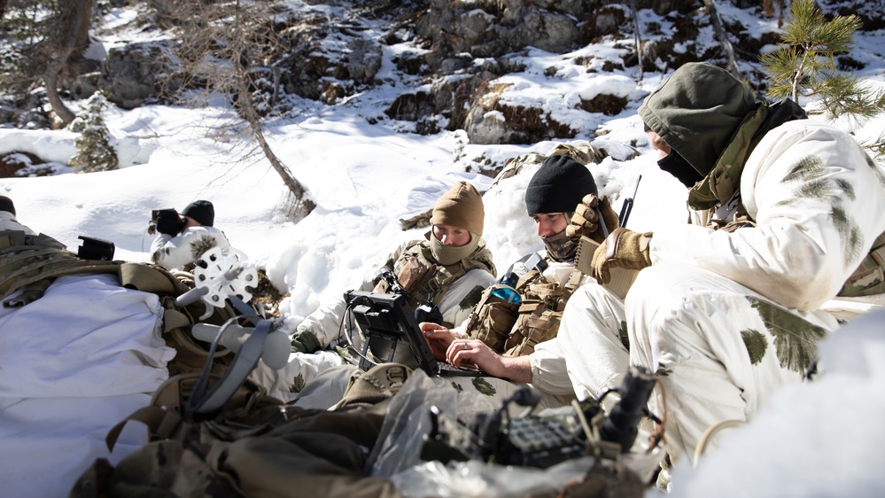 Watching and Waiting: Paratroopers partner with Alpinis for Alpine Star - Winter Resolve 23