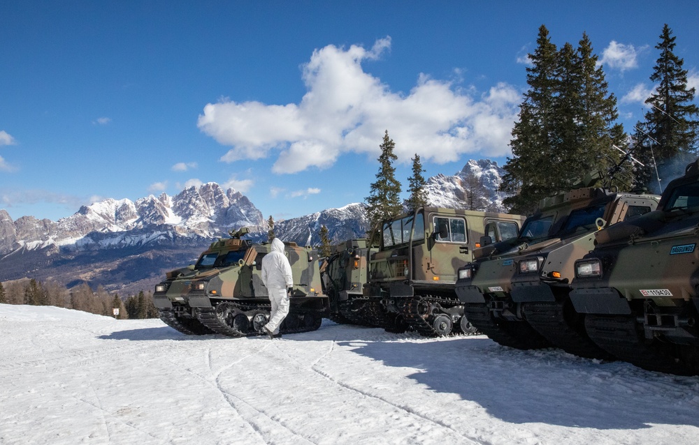 Watching and Waiting: Paratroopers partner with Alpinis for Alpine Star - Winter Resolve 23