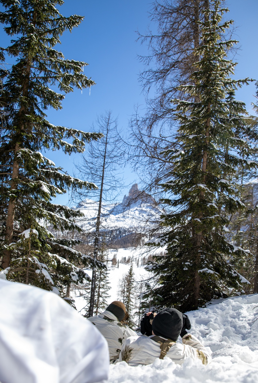 Watching and Waiting: Paratroopers partner with Alpinis for Alpine Star - Winter Resolve 23