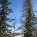 Watching and Waiting: Paratroopers partner with Alpinis for Alpine Star - Winter Resolve 23