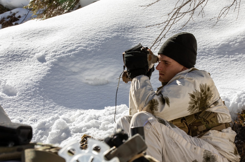 Watching and Waiting: Paratroopers partner with Alpinis for Alpine Star - Winter Resolve 23