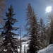Watching and Waiting: Paratroopers partner with Alpinis for Alpine Star - Winter Resolve 23