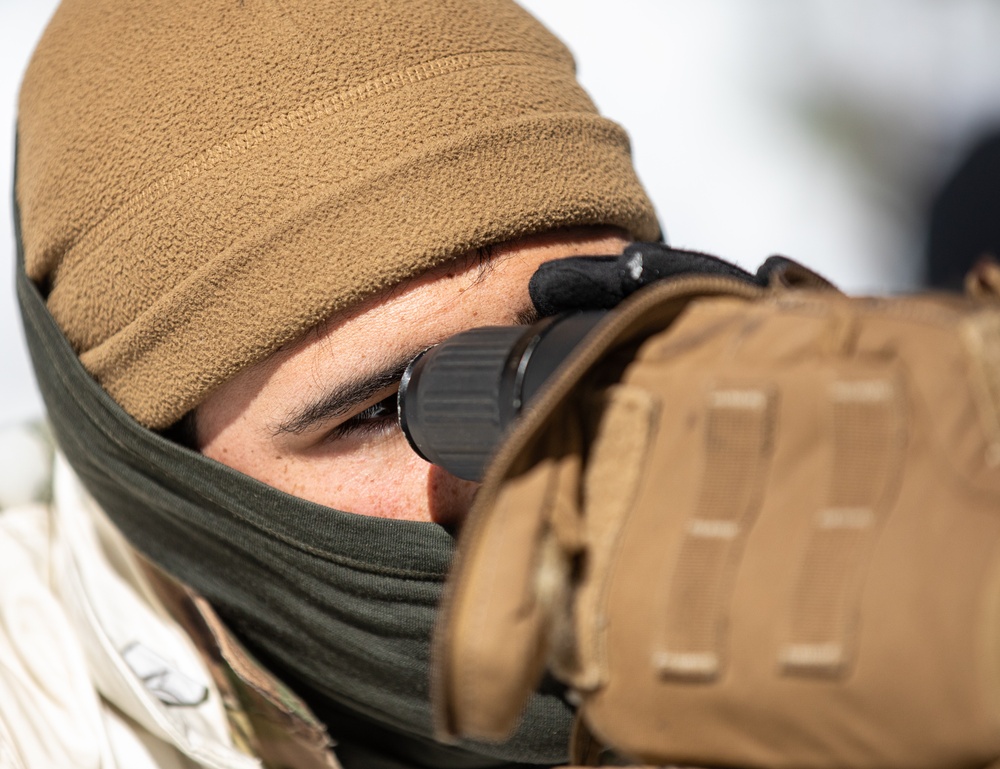 Watching and Waiting: Paratroopers partner with Alpinis for Alpine Star - Winter Resolve 23