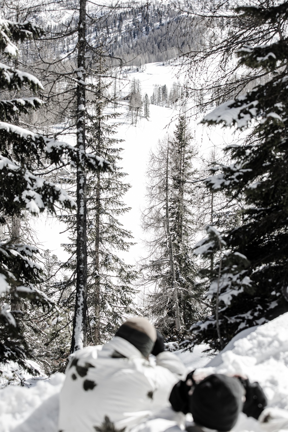 Watching and Waiting: Paratroopers partner with Alpinis for Alpine Star - Winter Resolve 23