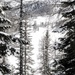 Watching and Waiting: Paratroopers partner with Alpinis for Alpine Star - Winter Resolve 23