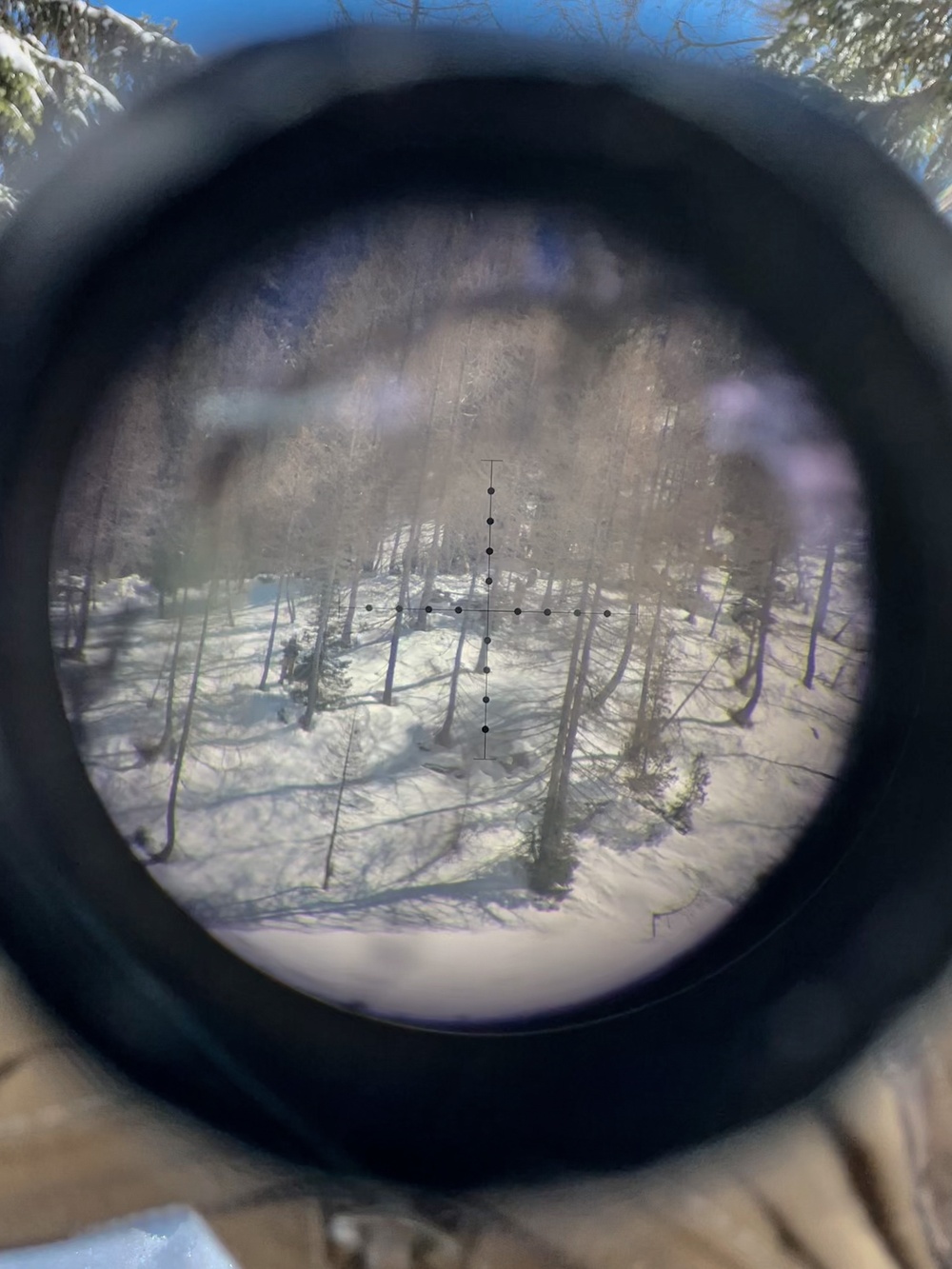 Watching and Waiting: Paratroopers partner with Alpinis for Alpine Star - Winter Resolve 23