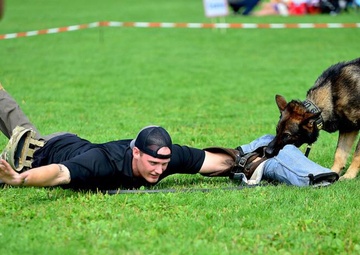 Army working dog makes mark on Enterprise Access Management Service-Army page