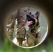 Military Working Dog makes mark on Enterprise Access Management Service-Army page