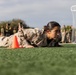 Charlie Company CFT