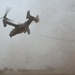 Osprey touches down at Goodfellow