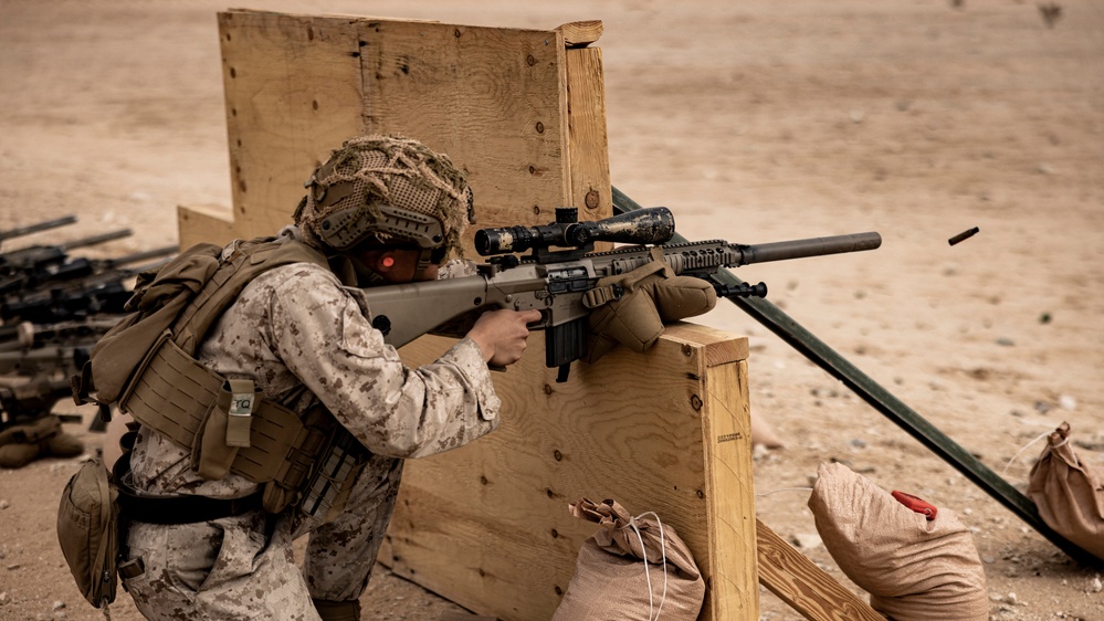 Designated marksmen evaluated on precision fire capabilities