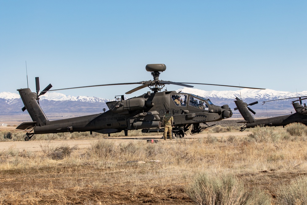 Tigersharks return to Idaho