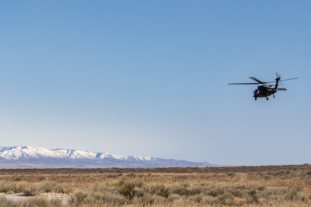 Tigersharks return to Idaho