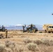 Tigersharks return to Idaho