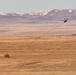 Tigersharks return to Idaho