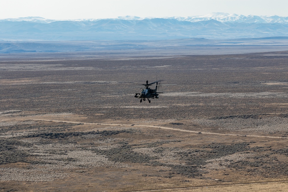Tigersharks return to Idaho