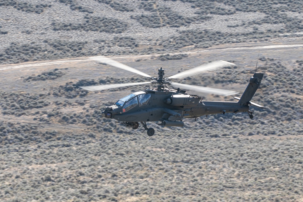 Tigersharks return to Idaho
