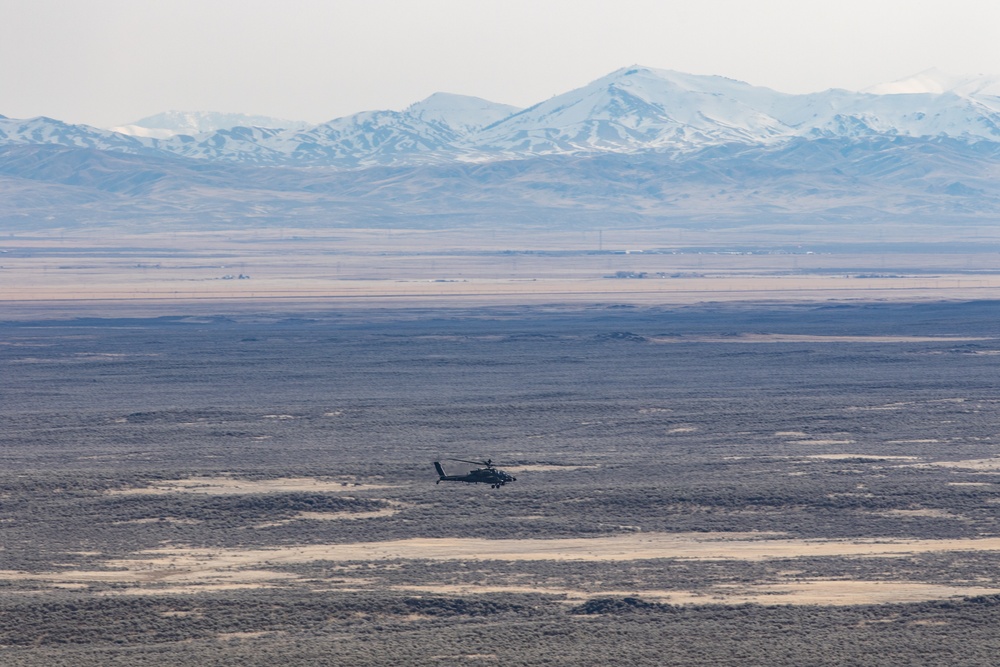 Tigersharks return to Idaho