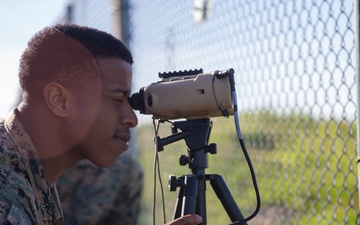 Marines take part in the ANGLICO Basic Course