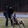 Secret Service K9 Training