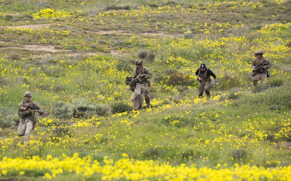 2nd Battalion, 1st Marines participate in EOTG Small Boat Raid Course