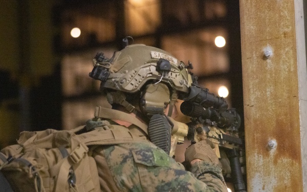 MEUEX III: BLT 1/6 Conducts Raid 2