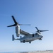 VMM-163 conducts deck landing qualifications aboard the SS Curtiss