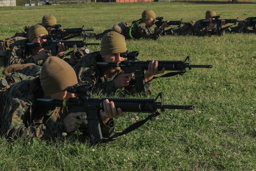 Mike Company Grass Week