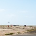 F-22 Raptors Successfully Rearmed in ACE Capabilities Milestone at Pacific Missile Range Facility (PMRF).