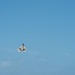 F-22 Raptors Successfully Rearmed in ACE Capabilities Milestone at Pacific Missile Range Facility (PMRF).