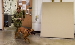 NSF Diego Garcia MWD Certification and Training