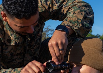 Mike Company Grass Week