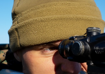 Mike Company Grass Week