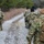 4th Cav Soldiers Be All They Can Be By Earning Their Spurs