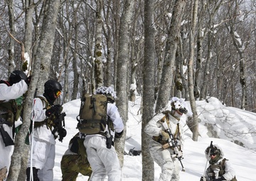 3-172 IN (MTN) attends Common Challenge 23