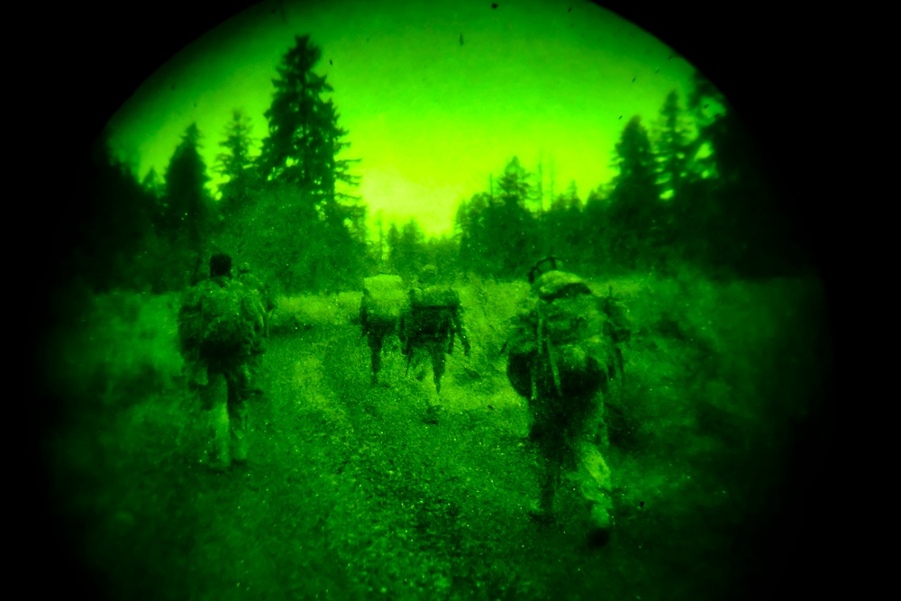 Workin' On Our Night Moves: 1-303rd Cavalry troopers execute reconnaissance after dark