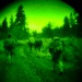 Workin' On Our Night Moves: 1-303rd Cavalry troopers execute reconnaissance after dark