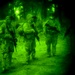 Workin' On Our Night Moves: 1-303rd Cavalry troopers execute reconnaissance after dark