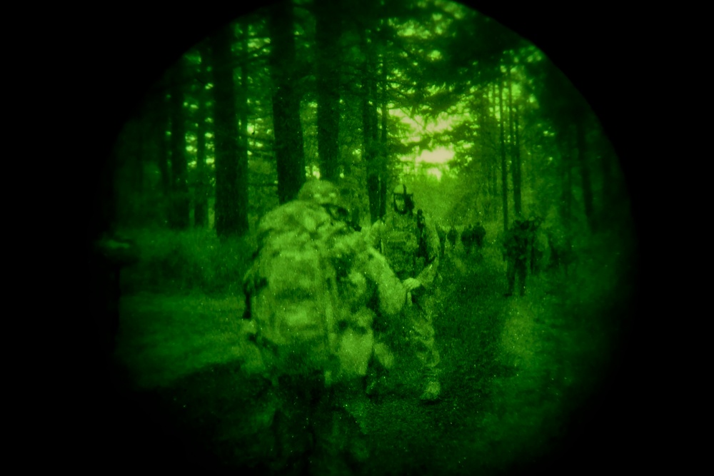 Workin' On Our Night Moves: 1-303rd Cavalry troopers execute reconnaissance after dark