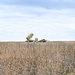 Soldiers Train on Patriot Launcher