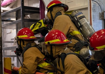 Wasp Participates in MOB-D Assessment