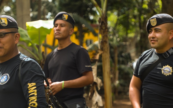 Green Berets teach Guatemalan partners K-9 Handling skills